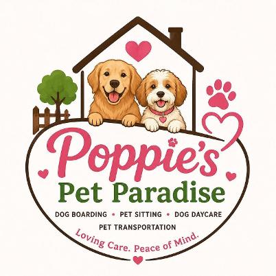 Loving Dog Boarding and Pet Sitting in the Dallas Area